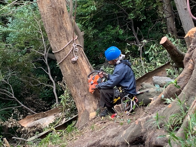事業内容のイメージ